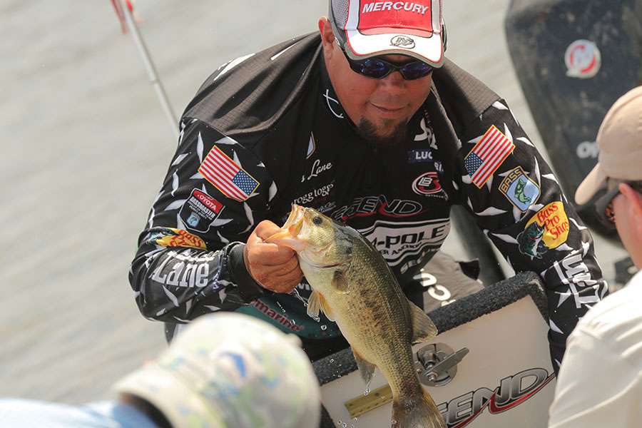 It is about time to start the weigh-in. Chris Lane bags his catch.