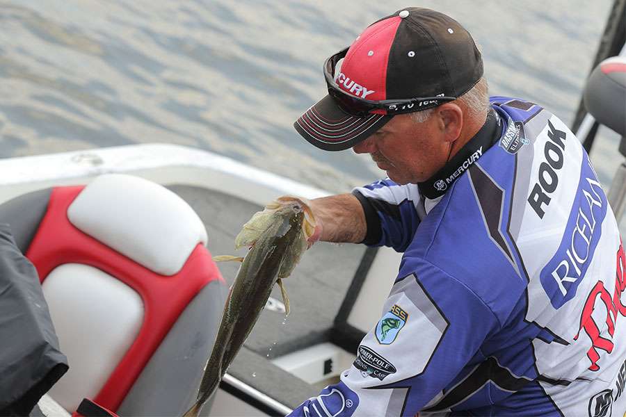 Scott Rook has some nice fish to weigh-in.