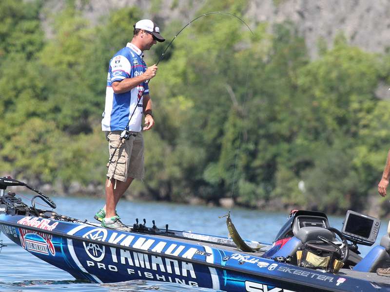 As did the pickerel.