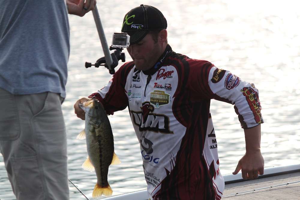 Preuett heads to the live-well with number 4 as the fish start busting again all around him. 