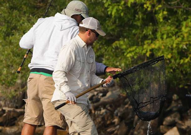 A hefty largemouth is in the net. 