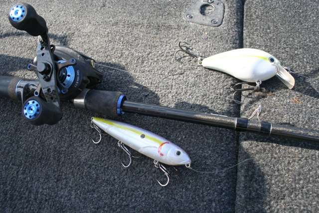 The winning lures included a Strike King 8.0 crankbait, and a Strike King Sexy Dawg caught the majority of the winning stringer. 