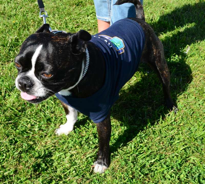 Rocco supports his team by wearing a Rhode Island B.A.S.S. Nation jersey.