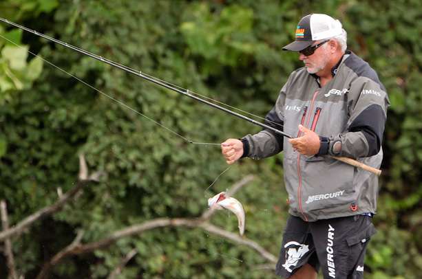 Biffle snatches a small bass from the riverâ¦
