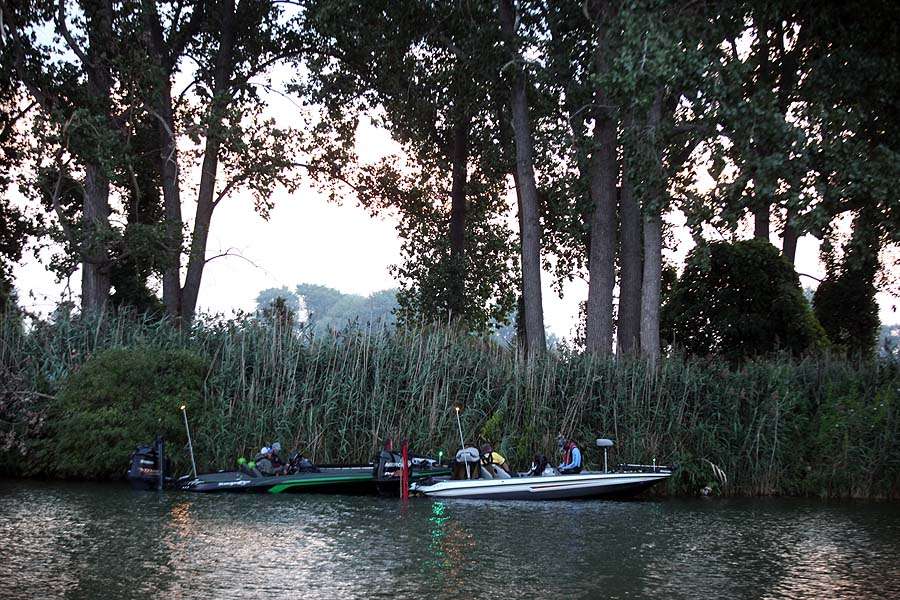 Anglers prepare for the day against a backdrop of reeds along the shoreline of Metropark.