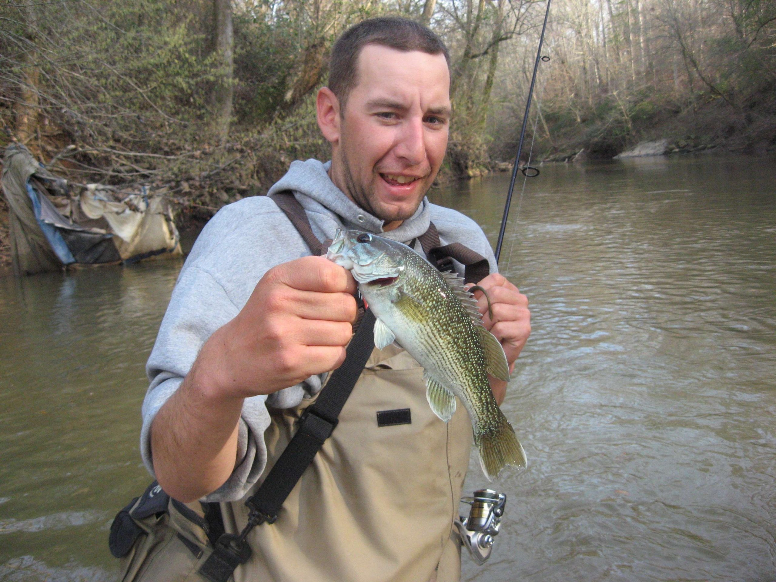 The Tallapoosa redeye came from the Tallapoosa River in Randolph County in Alabama.