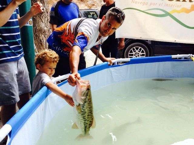 The fish were placed in this pool before being released ...
