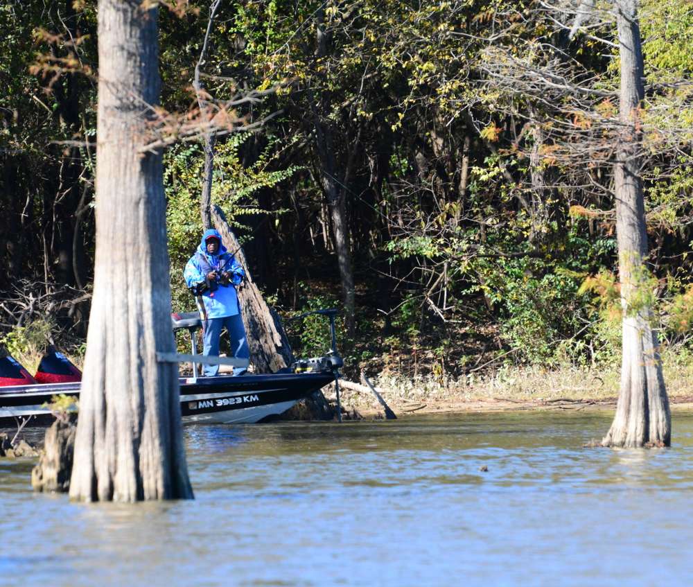 California angler Ron Welch was spotted casting between some giant cypress trees.