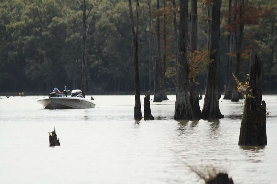 Another peek at the mystery boat, still too far in the woods to make contact. 