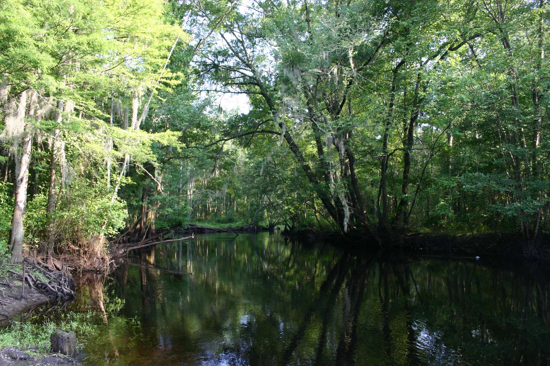 Southern Division â Pee Dee River Basin
Georgetown, S.C.
April 22-24, 2015