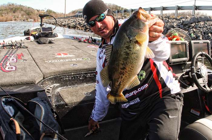 Randall Tharp
Port St. Joe, Fla. 
13th place in Angler of the Year points