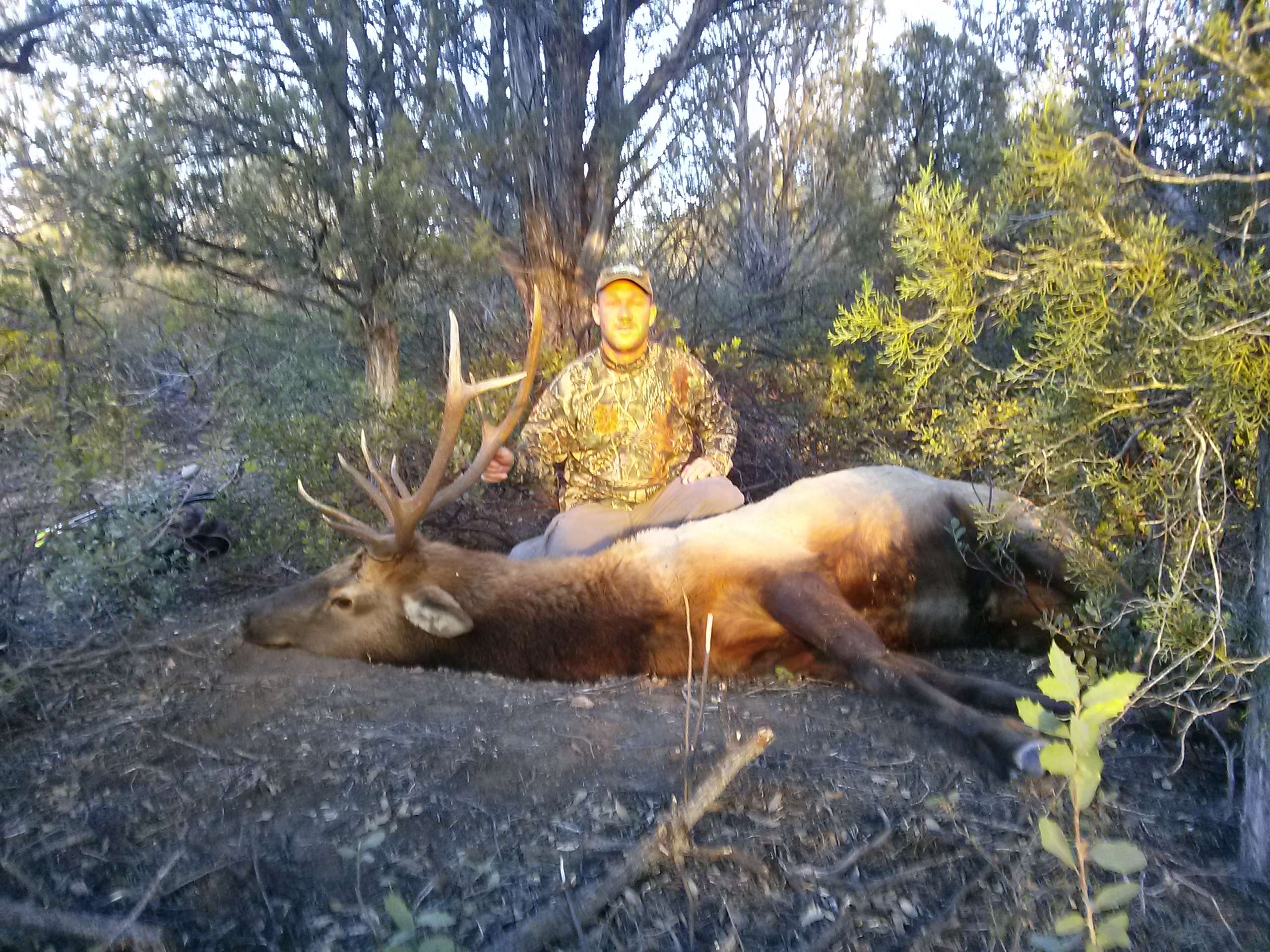 Another shot of Chapman with his bull elk.