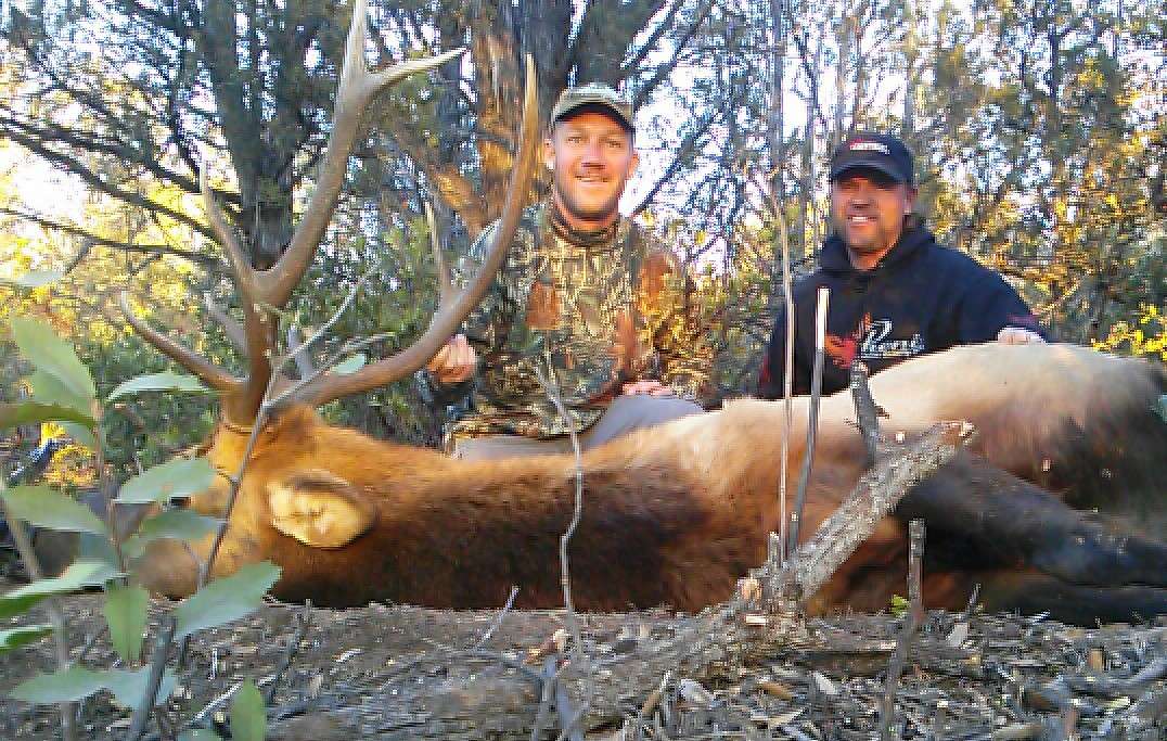 A nice bull elk that Chapman admits isnât the biggest in the land but is worthy of the excitement it provided him.