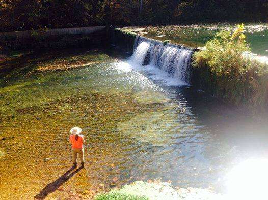 Melissa fishes for trout in an Ozarks stream. Rick says she espouses an organic lifestyle.