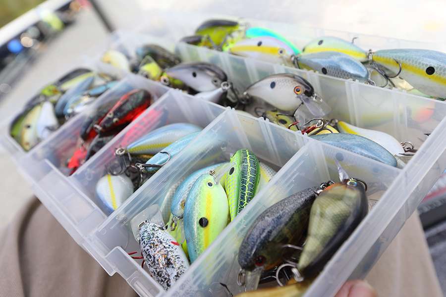 This bin contains square-bill crankbaits. These are KVD HC 1.5 Square Bill crankbait by Strike King.