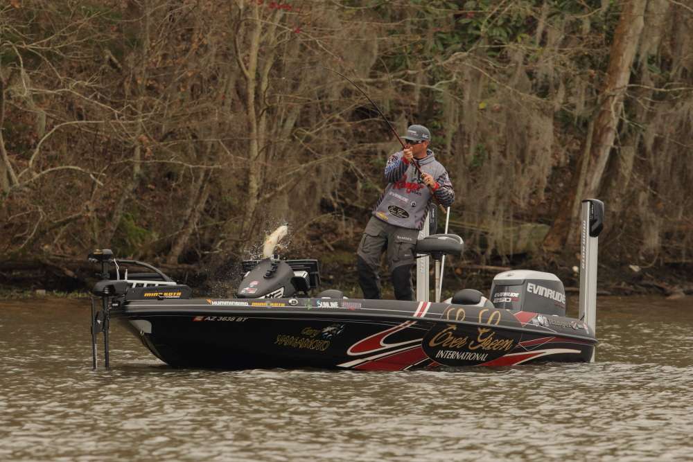 <p>During his first year in the Elite Series, Brett Hite landed three Top 10 finishes including an impressive win at the 2014 Dick Cepek Tires Bassmaster Elite at Lake Seminole. The following boat tour reveals the bait, equipment and electronics Hite depended on during his successful season.</p>

