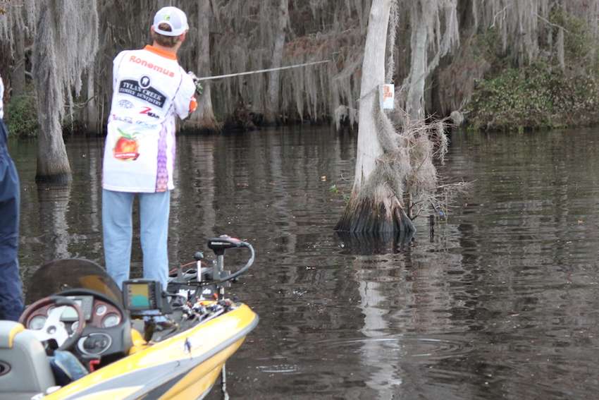 Fishing isolated trees has produced the biggest fish for Baylor Ronemus and Cole Tinsley this week. 