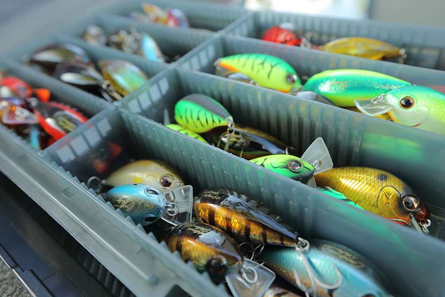 Square-billed, shallow-running crankbaits from the Evergreen Combat Lures line.