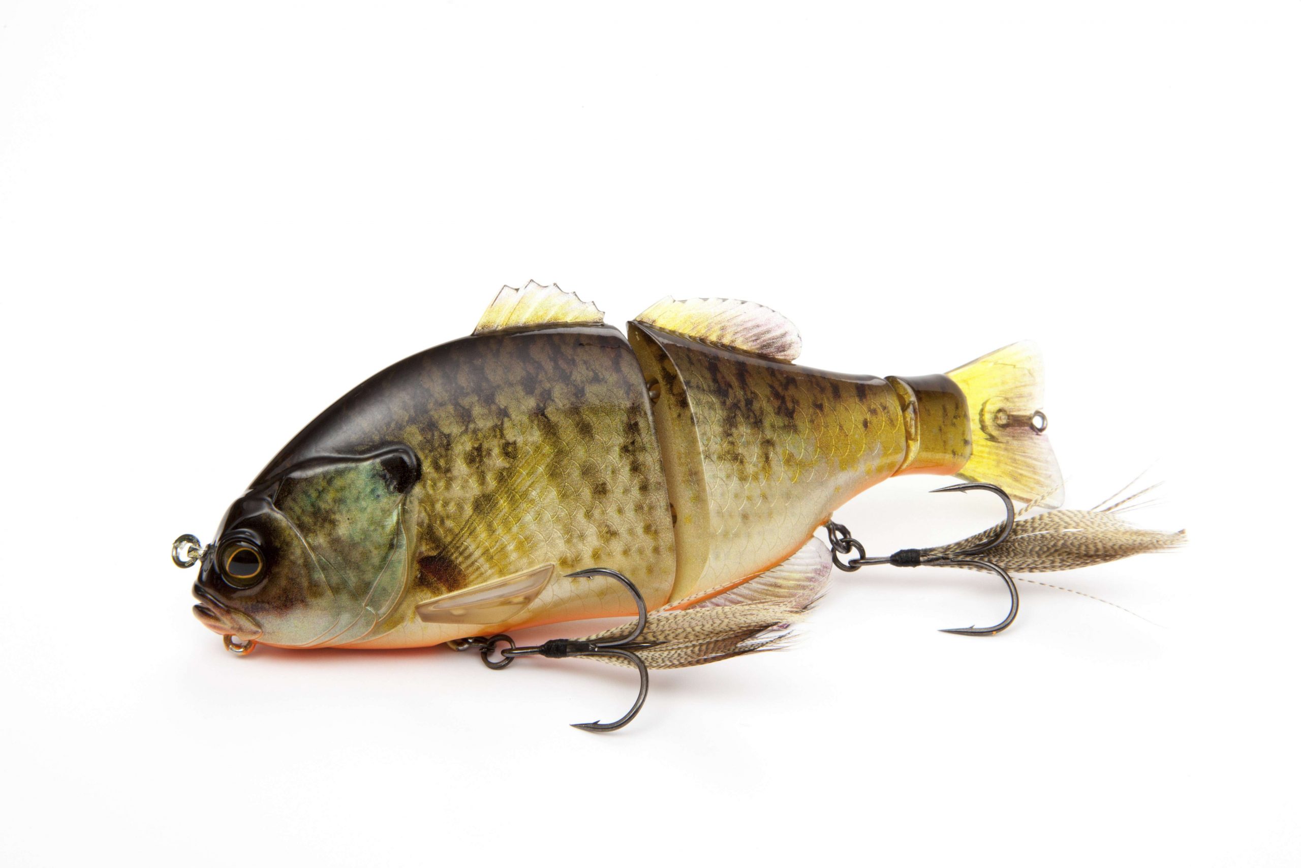 <B>JACKALL GANTAREL HARD SWIMBAIT</b>
With a 6-inch, triple-jointed body mimicking a nice-size lunch for bass, the Gantarel swimbait should be a hit with North American anglers. An interesting part of the design is the pectoral fin, which helps the bait dive down to 3 feet. Stop the retrieve, and the bait slowly floats back to the surface. The bait will retail for $39.99.
