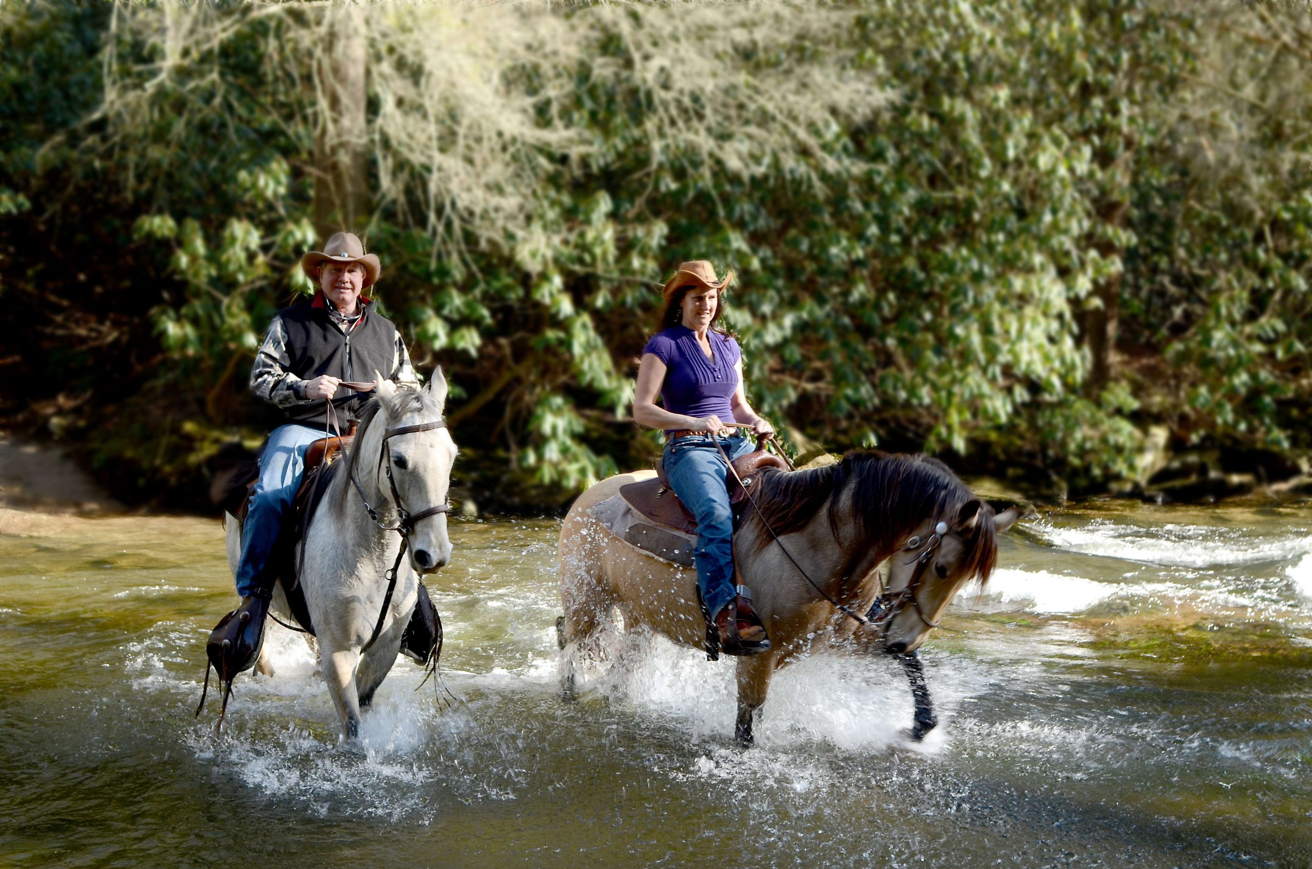Another interesting option is enjoying the outdoors on a Horseback Waterfall Tour.