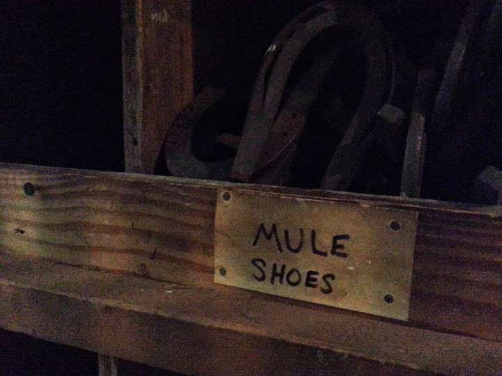 ...I didn't even know they made shoes for mules, or how you could possibly get the shoes on a mule if the mule was being, you know, a mule...
