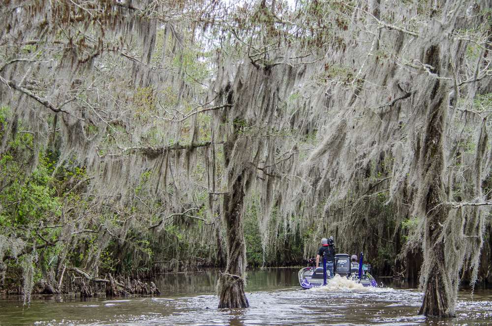 This time we went deep into the swamp. 