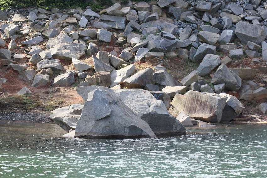 The area where Western Carolina is fishing is loaded with boulders. The bass are spawning on top of the boulders. 