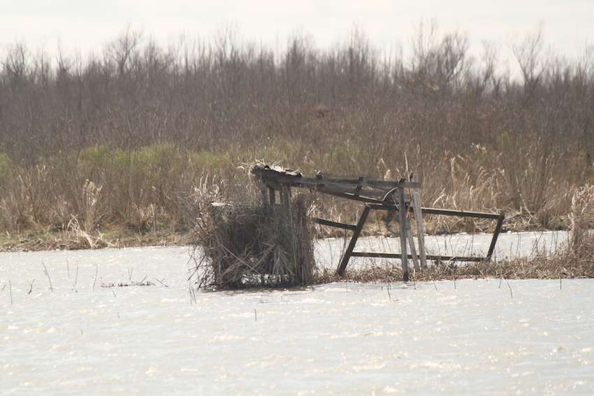 Another duck blind if anyone is interested. 