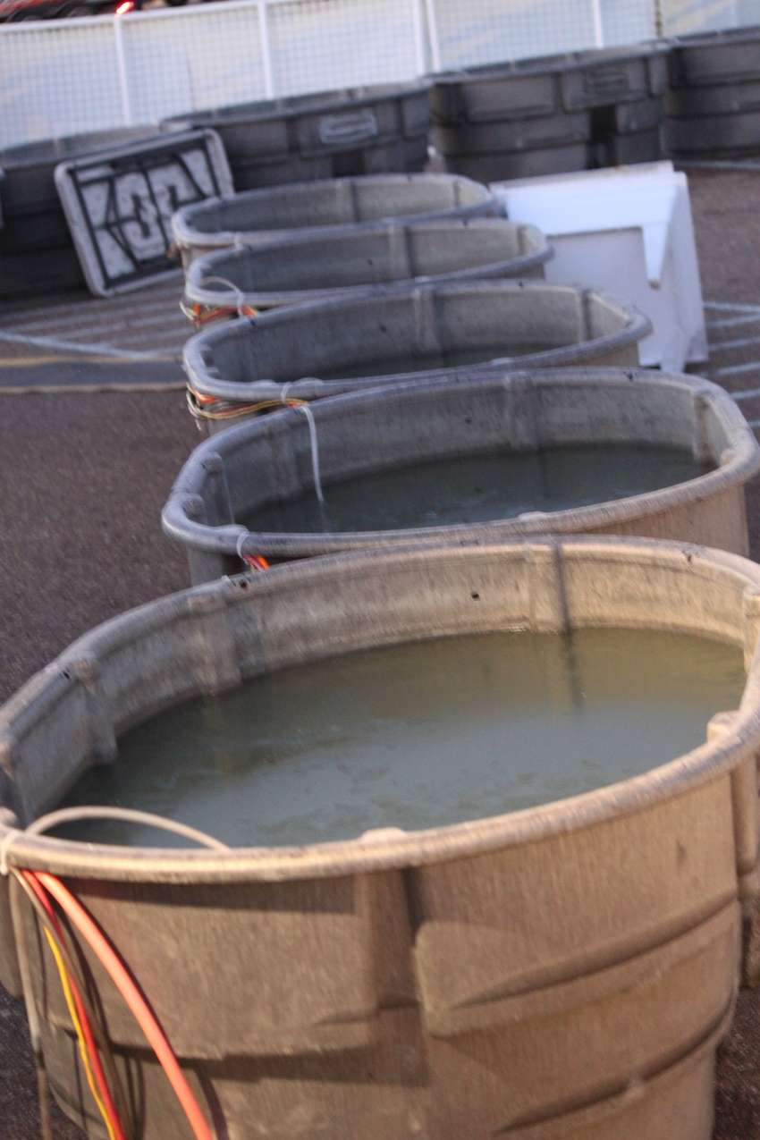 The weigh tubs are setup but not exactly ready for anglers.