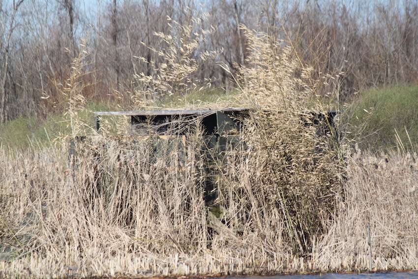 If this duck blind had any inhabitants this morning, they'd be getting quite the boat show. 