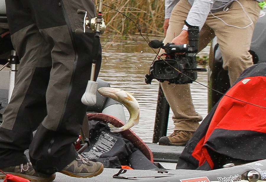 Cameraman Rick Mason has his camera pointed directly at the fish. 
