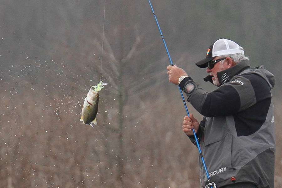 He liked that spinnerbait, though.