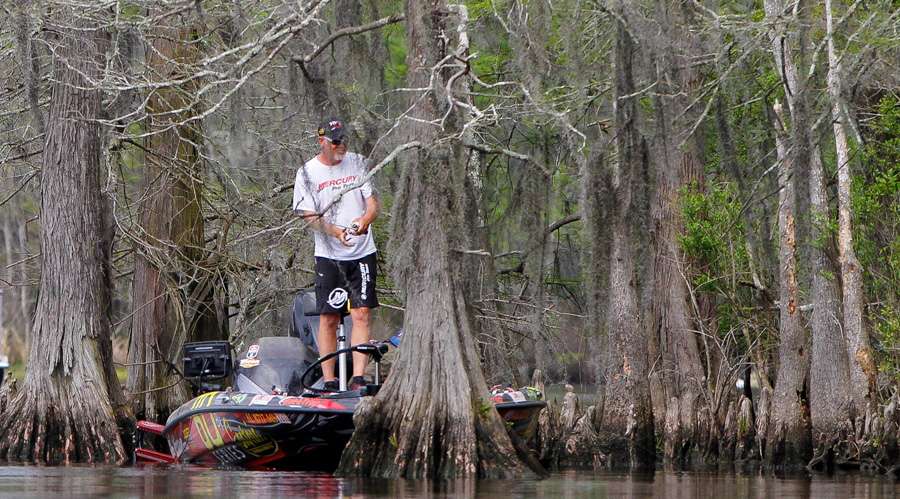 Boyd Duckett trying to sneak up on one in the cypress trees. 