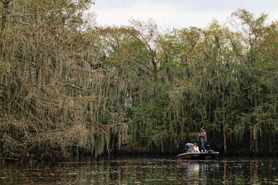 Russ Lane fishing in an area where the trees were covered in Spanish moss. 