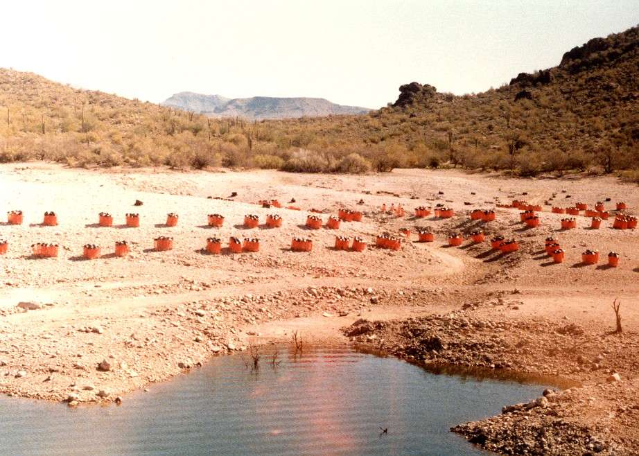 Gene Gilliland, B.A.S.S. conservation director, said the Lake Havasu project was innovative and so successful because it was conducted on such a grand scale. (Photo courtesy of fws.gov)