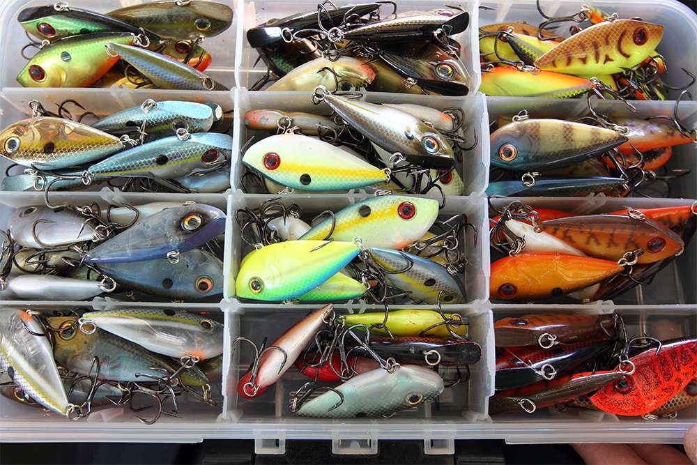 Strike King Red Eye Shads get their own box. Again, they're organized by color.