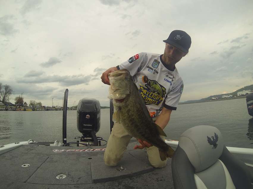 This behemoth weighed 8-8 and is tied for Bass Pro Shops Big Bass after Day 1.