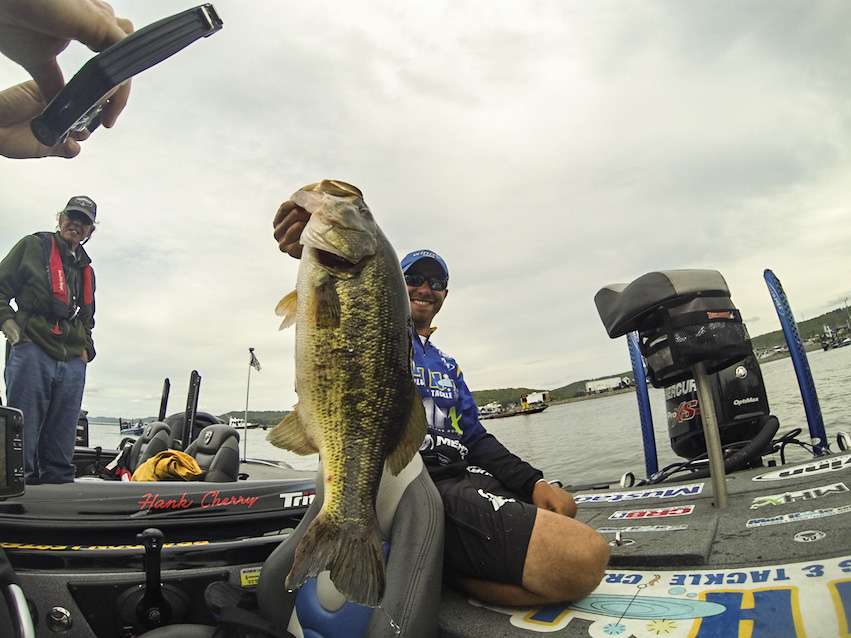 16.	Brandon Lester brought this behemoth to the weigh-in. It was tied for Bass Pro Shops Big Bass of Day 2. Zell Rowland and Lester both had a 7-12.