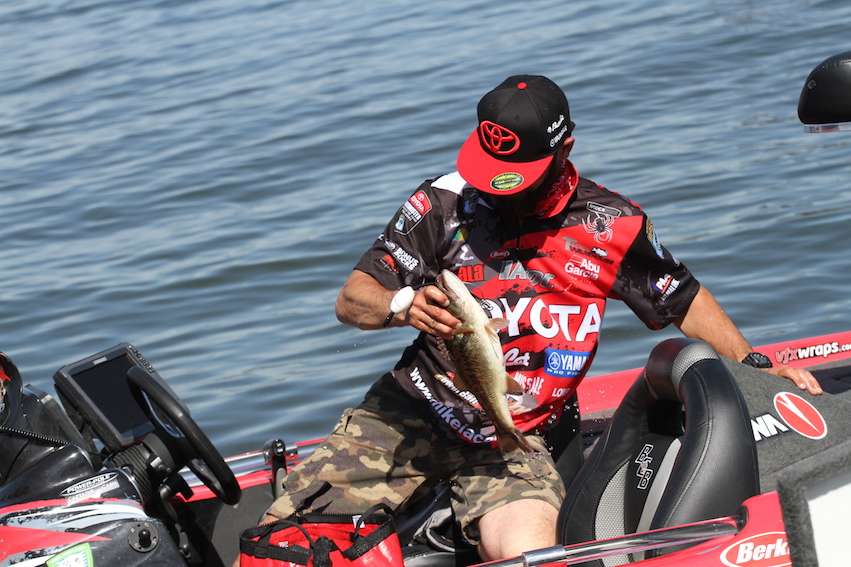Mike Iaconelli is almost guaranteed to be.