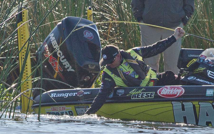 But Reese would be able to make a perfect stab.