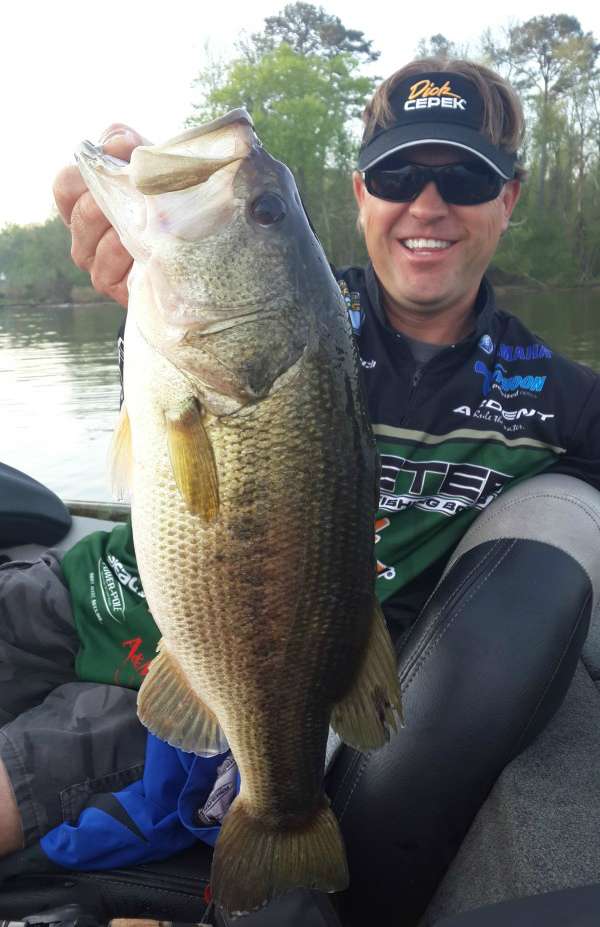 Cliff Pirch with a nice one.
<br>Photo by Bassmaster Marshal Jason Brown