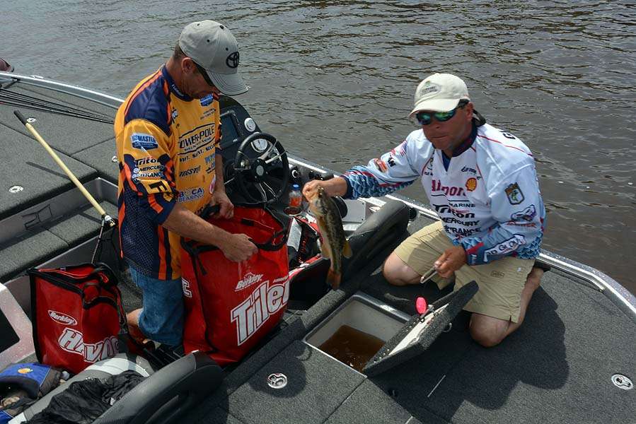 Anglers from the seven states are paired together in this tournament. Even so, they are fishing for the cumulative weight for their respective state team. 
