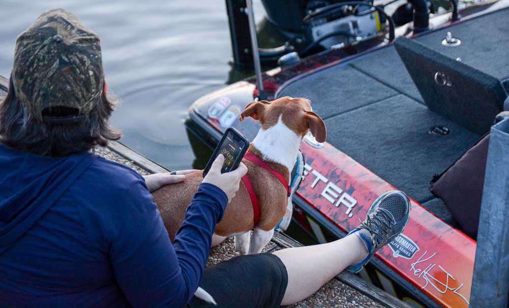 A four-legged fan watches the boats go by