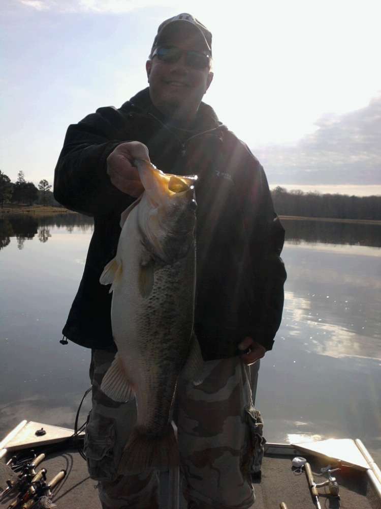 Rick Harker
Kentucky
10-8
Private lake, Mississippi
Heddon Pop'n Image (bullfrog)