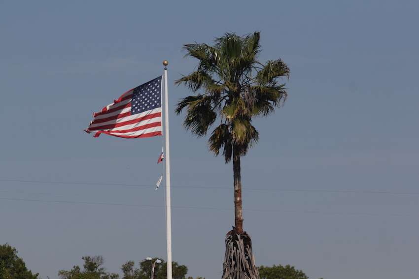 Palm trees and patriotism. 