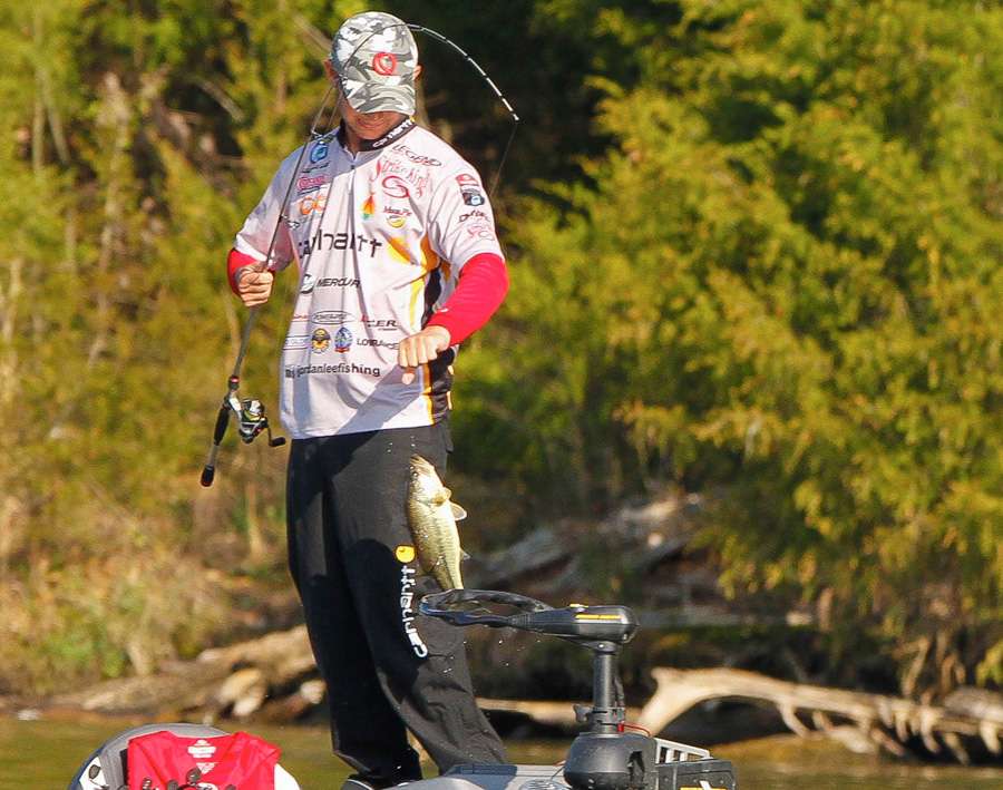 This is Jordan Leeâs first year on the Elite Series, but he has a ton of experience fishing Lake Guntersville. 