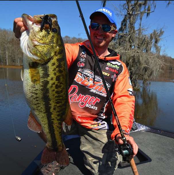 <p>Got on a good punching bite on #caddolake and caught this #hawg flipping a @reinsfishing black blue ring craw on a @dobynsrods champion extreme 795 FLIP and a @lews_fishing bb1 pro 7:01 with 65 lb gamma torque braid and an 1.2 oz #reinstungsten slip sinker. I want to thank @jwoodallfishing for taking me out there the last couple days. He guides on that beautiful lake.</p> <p><a href=