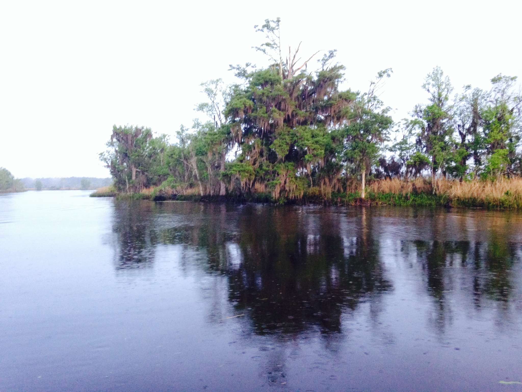 Large trees also line the fishery.