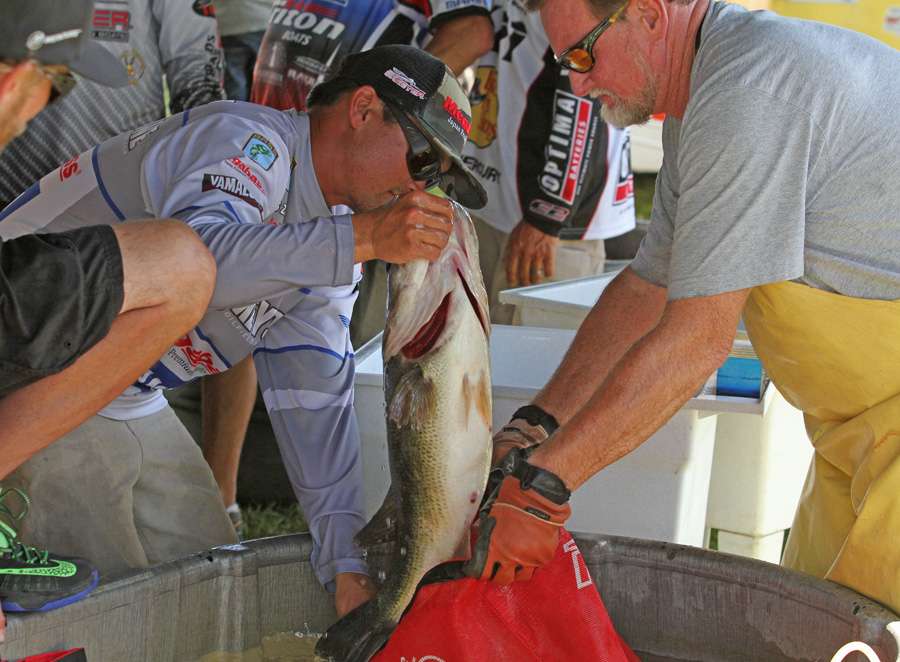 Zaldain has to move his 12-pounder for Max Leatherwood to get a glimpse of the rest of his stringer.