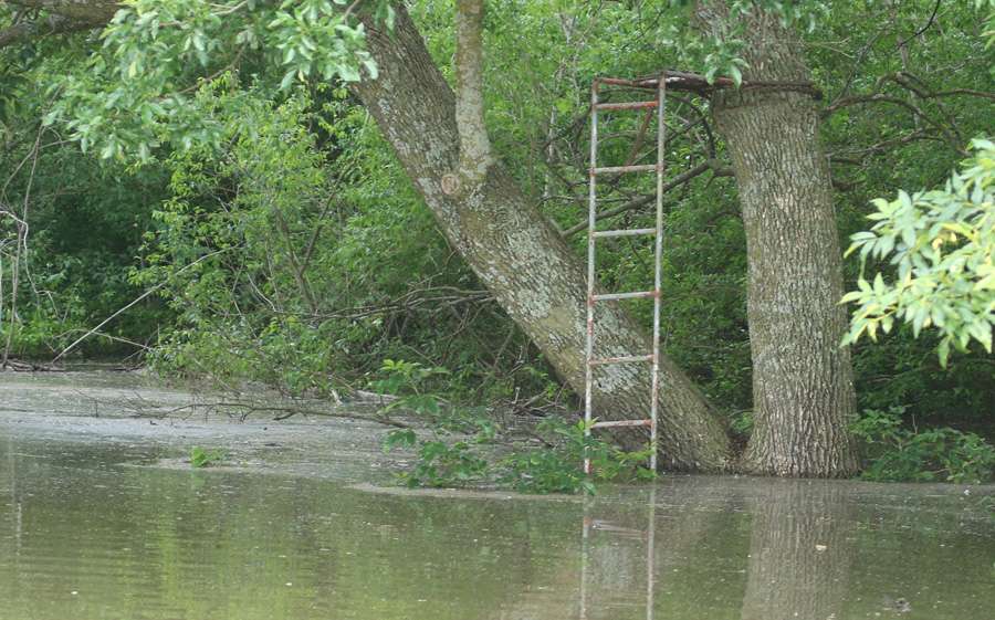 If this were deer season, this tree stand would be accessible only by boat.